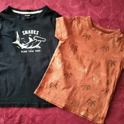 Lot de deux t.shirts